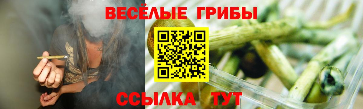 Псилоцибиновые грибы GOLDEN TEACHER  Вход с VPN  Самара  Псилоцибиновые грибы Psilocybe 